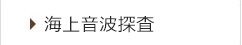 海上音波探査