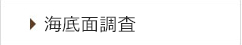 海底面調査