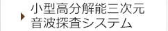 小型高分解三次元音波探査システム