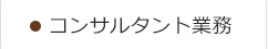 コンサルタント業務